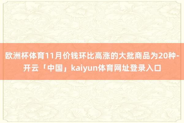 欧洲杯体育11月价钱环比高涨的大批商品为20种-开云「中国」kaiyun体育网址登录入口