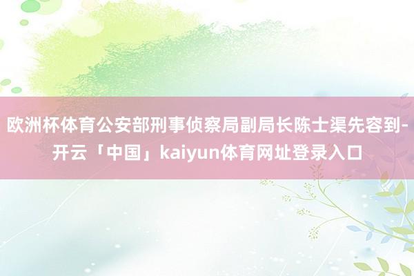 欧洲杯体育公安部刑事侦察局副局长陈士渠先容到-开云「中国」kaiyun体育网址登录入口