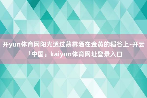 开yun体育网阳光透过薄雾洒在金黄的稻谷上-开云「中国」kaiyun体育网址登录入口