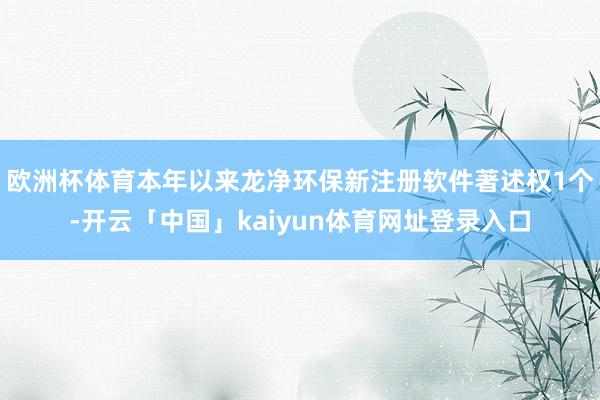 欧洲杯体育本年以来龙净环保新注册软件著述权1个-开云「中国」kaiyun体育网址登录入口