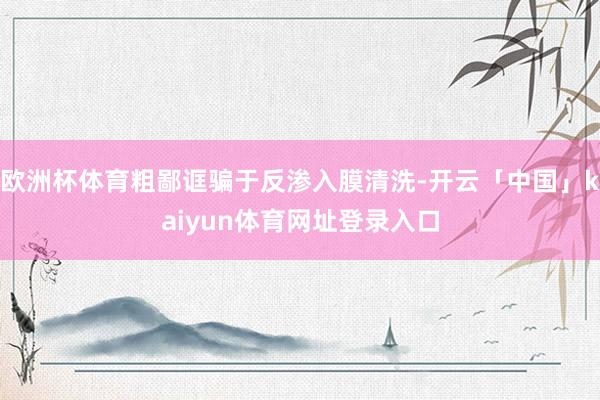 欧洲杯体育粗鄙诓骗于反渗入膜清洗-开云「中国」kaiyun体育网址登录入口