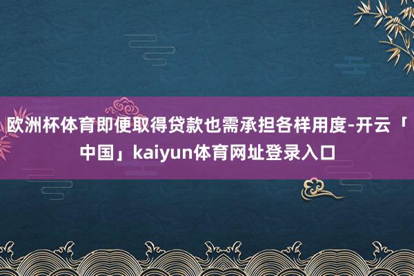 欧洲杯体育即便取得贷款也需承担各样用度-开云「中国」kaiyun体育网址登录入口